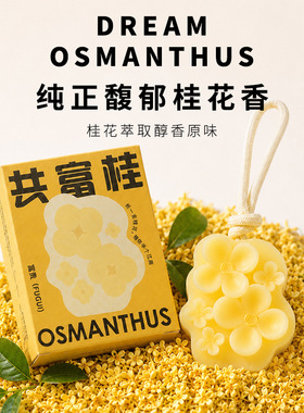 桂花香薰蜡片家用除螨挂片驱螨除菌衣柜被褥去异味持久留香香片