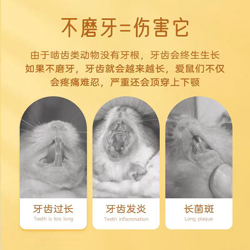 草饼苹果枝磨牙串兔子龙猫豚鼠荷兰猪磨牙棒零食提摩西草饼咬串枝,淘宝优惠券,粉丝福利购,淘宝优惠卷