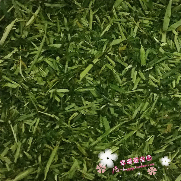 大麦草段干草牧草250克荷兰猪天竺鼠兔兔龙猫香脆可口500克 1000g,淘宝优惠券,粉丝福利购,淘宝优惠卷
