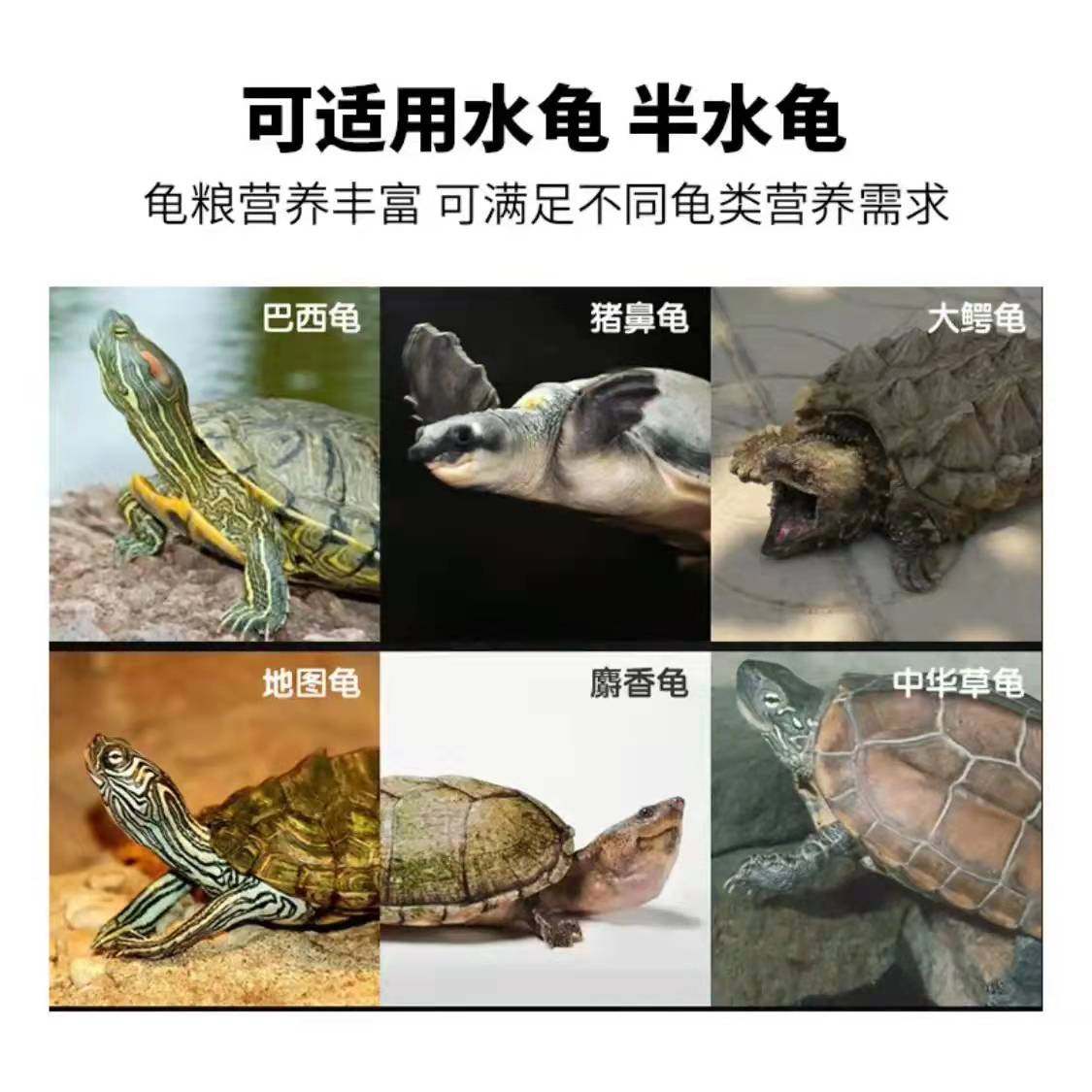 华畜 龟粮 乌龟饲料虾干龟食鳄龟陆乌龟草龟小龟饲料 2mm龟粮200g,淘宝优惠券,粉丝福利购,淘宝优惠卷