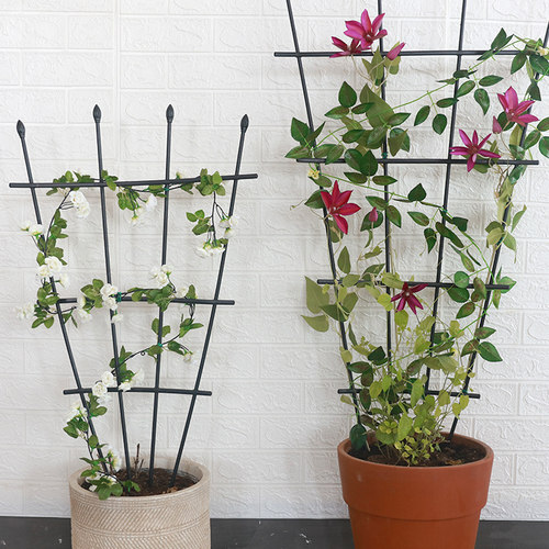 爬藤架架子室内花架铁线莲月季花植物园艺支架扇形花盆攀爬爬杆 - 图1