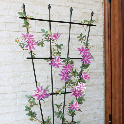 爬藤架架子室内花架铁线莲月季花植物园艺支架扇形花盆攀爬爬杆 - 图2