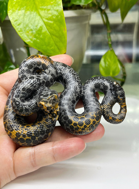 新款响尾蛇雕刻