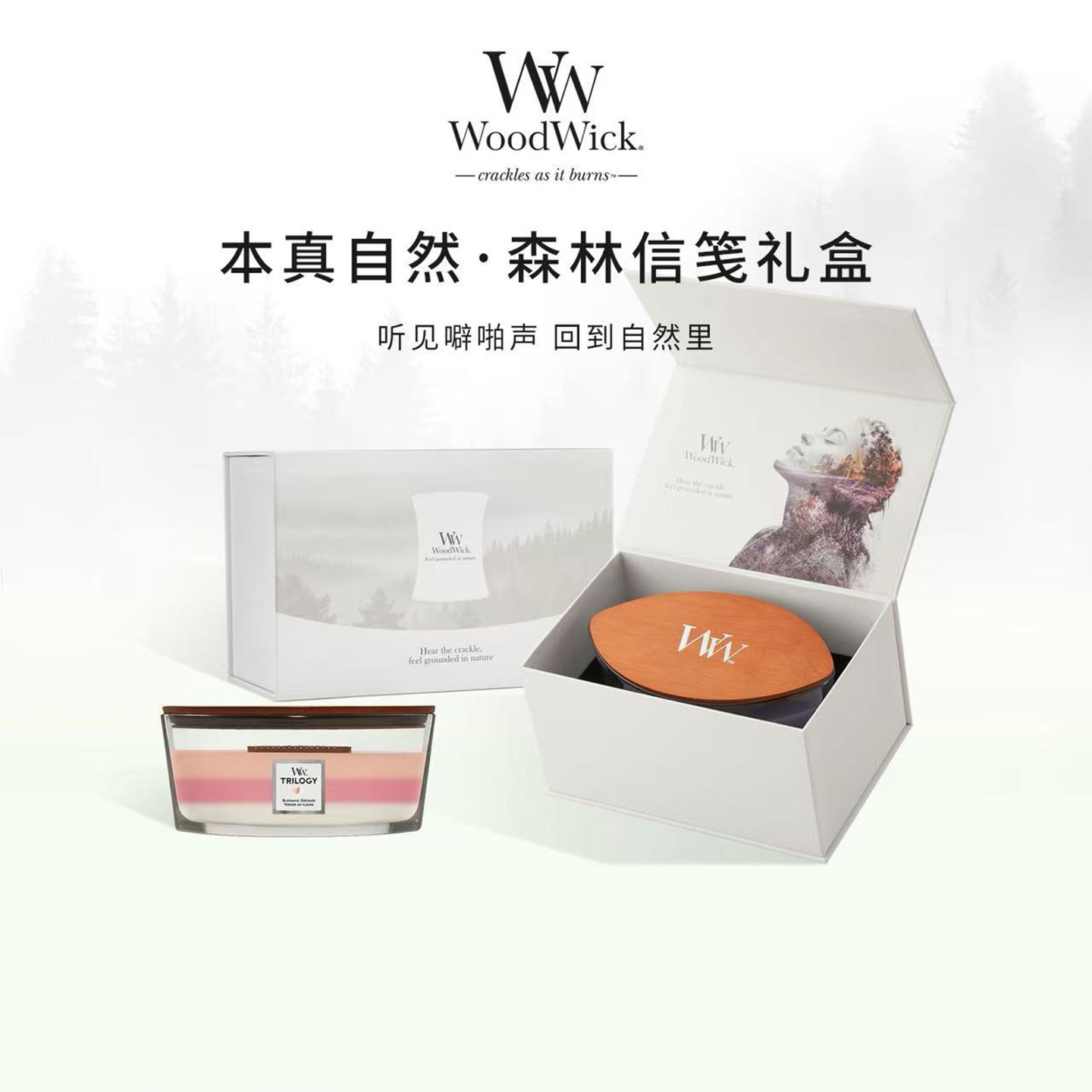【送礼甄选】Woodwick香薰蜡烛礼盒海岸线白噪音心动信号同款礼物 物选实拍商品图