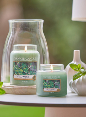 YankeeCandle扬基蜡烛许愿香薰蜡烛卧室装饰摆件礼物