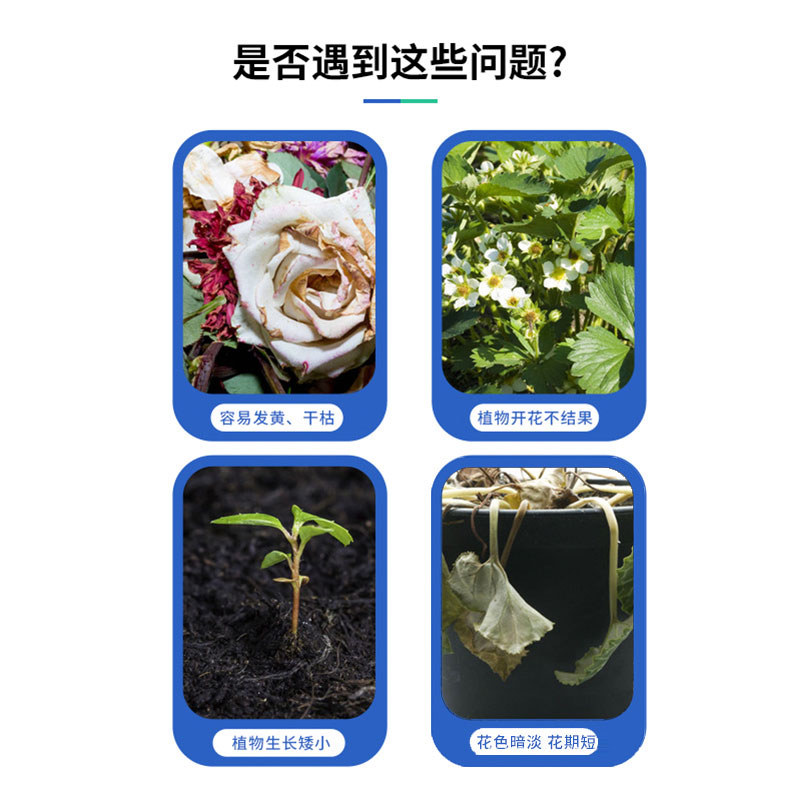 园艺养花脱脂骨粉花肥料促花养花有机肥磷钙君子兰三角梅缓释通用 - 图0