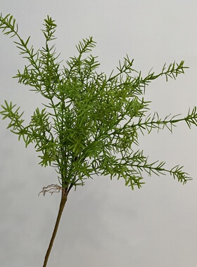 软胶手感蕨类植物波斯草蕨草排草蕨芒插花装饰蕨橱窗装饰布景草