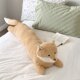 Nordic Blue Cat Strip Pillow Girls Couple Sleeping Cushion