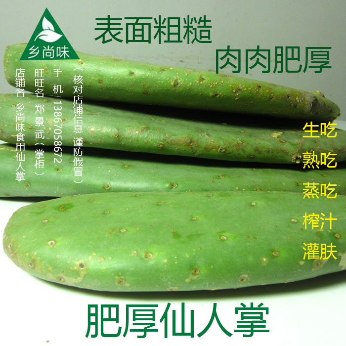 新鲜可食用仙人掌绿色蔬菜煮水植物多肉盆栽 - 图1