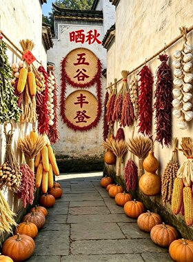 五谷丰登杂粮摆件丰收节装饰干红辣椒串挂件幼儿园教学真玉米大蒜