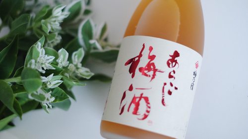 日本原瓶进口梅乃宿 梅子酒 柚子酒桃子酒梅酒 果酒 女士低度甜酒 - 图2