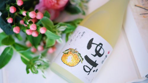 日本原瓶进口梅乃宿 梅子酒 柚子酒桃子酒梅酒 果酒 女士低度甜酒 - 图1