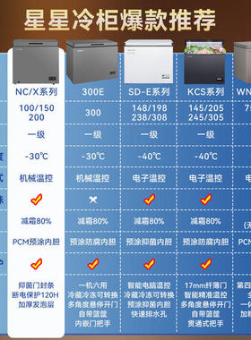 星星冰柜100/200/300升减霜小型冷柜冷冻家用两用卧式迷你冰箱