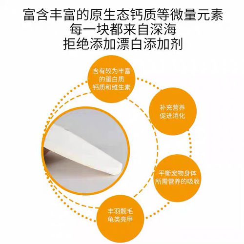 天然鹦鹉墨鱼骨磨嘴营养玩具虎皮玄凤牡丹鸟啃咬磨嘴玩具鱼骨鹉福 - 图1