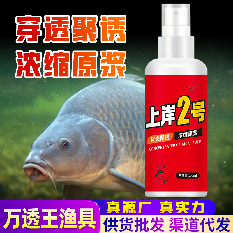 上岸2号钓鱼小药垂钓添加剂鲫鲢鳙鲤青草鳊鱼饵料窝料食喷剂钓王 - 图0