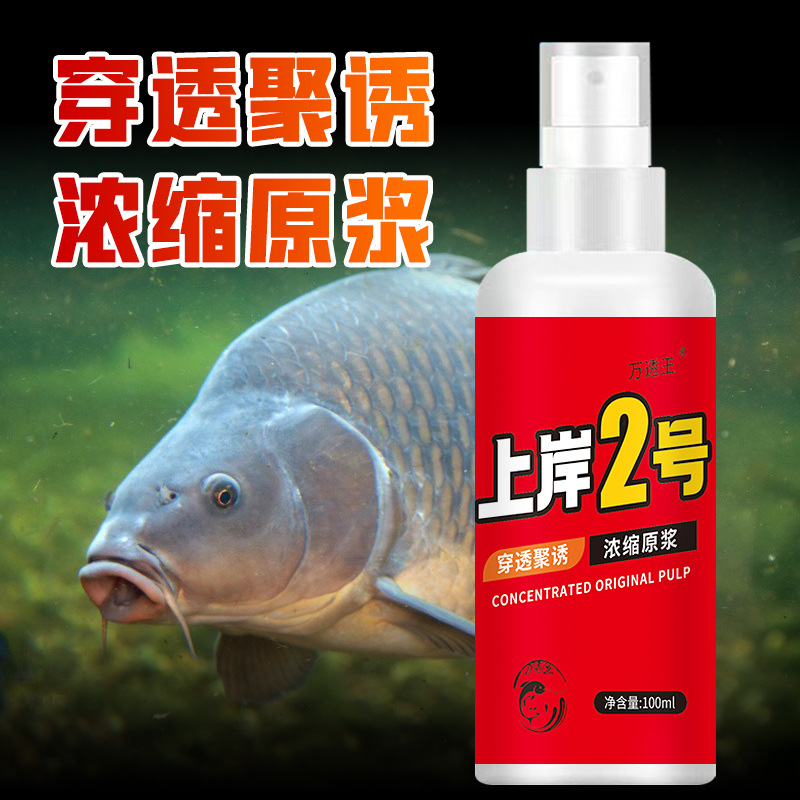 上岸2号钓鱼小药垂钓添加剂鲫鲢鳙鲤青草鳊鱼饵料窝料食喷剂钓王 - 图2