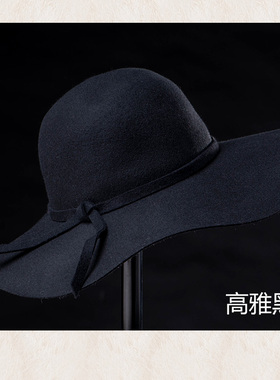 圆顶大檐帽出游女春秋冬