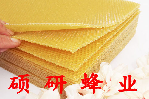蜂具蜜蜂深房巢础 中蜂巢础 深房巢础 巢脾30张包邮 蜂箱蜂蜜瓶 - 图1