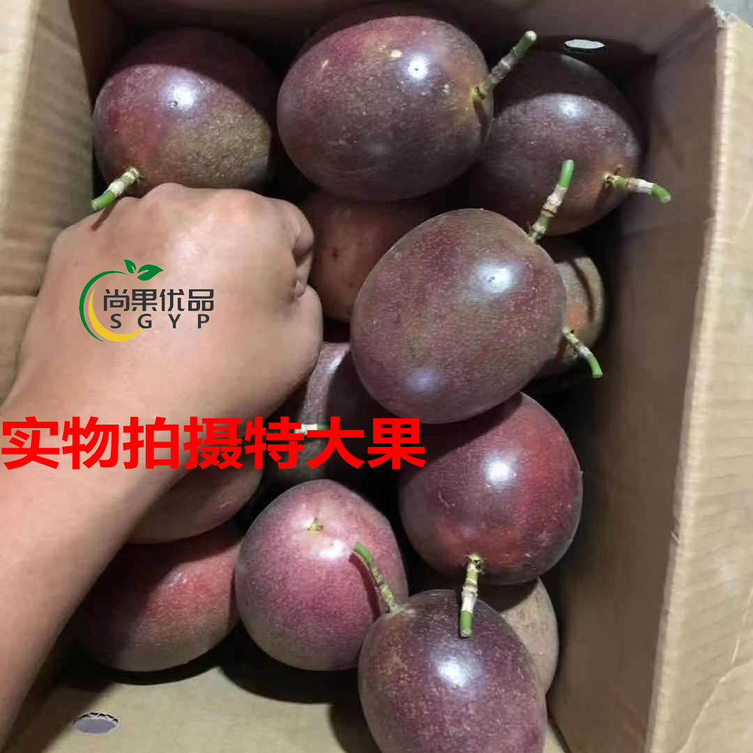 热带紫香百香果云南孕妇新鲜农产品图片_1