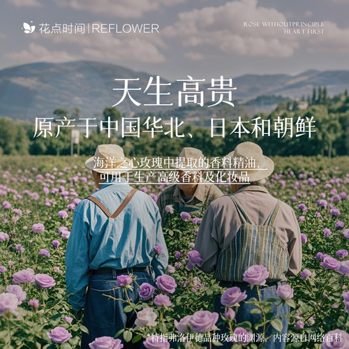 花点时间海洋之心紫色玫瑰花鲜花送女友情人节礼物基地直发束水养 - 图2