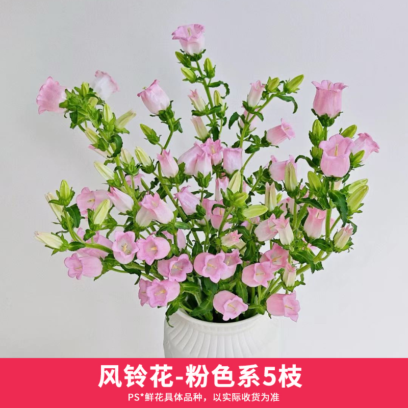 【39选3】玫瑰花鲜花向日葵小菊花束云南直发风铃花兰百合康乃馨