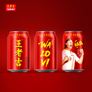 哈兰德联名世界杯王老吉310ml*12罐