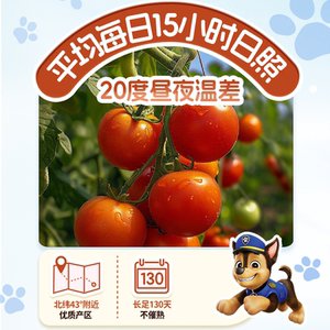 【汪汪队立大功】味好美番茄沙司挤挤瓶360g番茄酱炸鸡薯条调味料