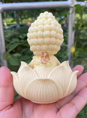 莲花底座宝宝佛象牙果中式