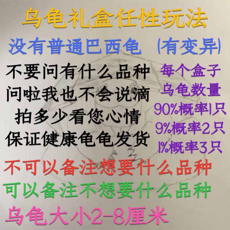 乌龟礼盒圆澳西非侧颈龟观赏龟活物火焰地图花龟大河锦龟剃刀麝香 - 图0