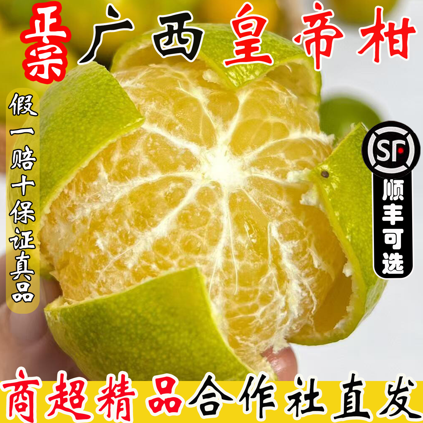 2025广西皇帝柑大果当季10斤新鲜贡柑橘桔子水果时令整箱蜜桔现摘 - 图1