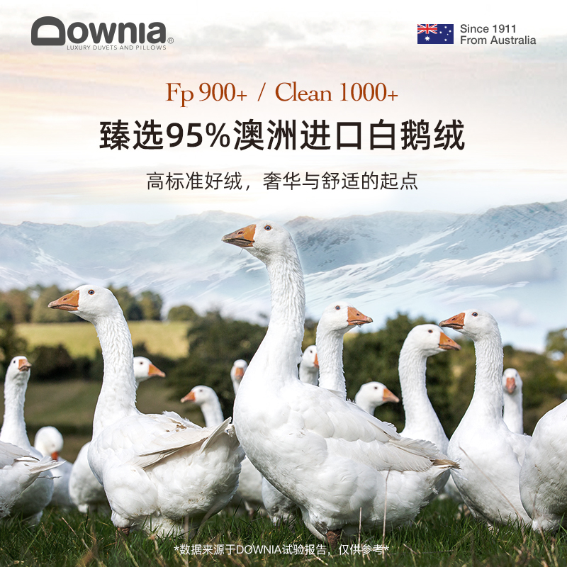 DOWNIA五星级酒店95白鹅绒床垫家用加厚保暖床褥羽绒软垫-图2