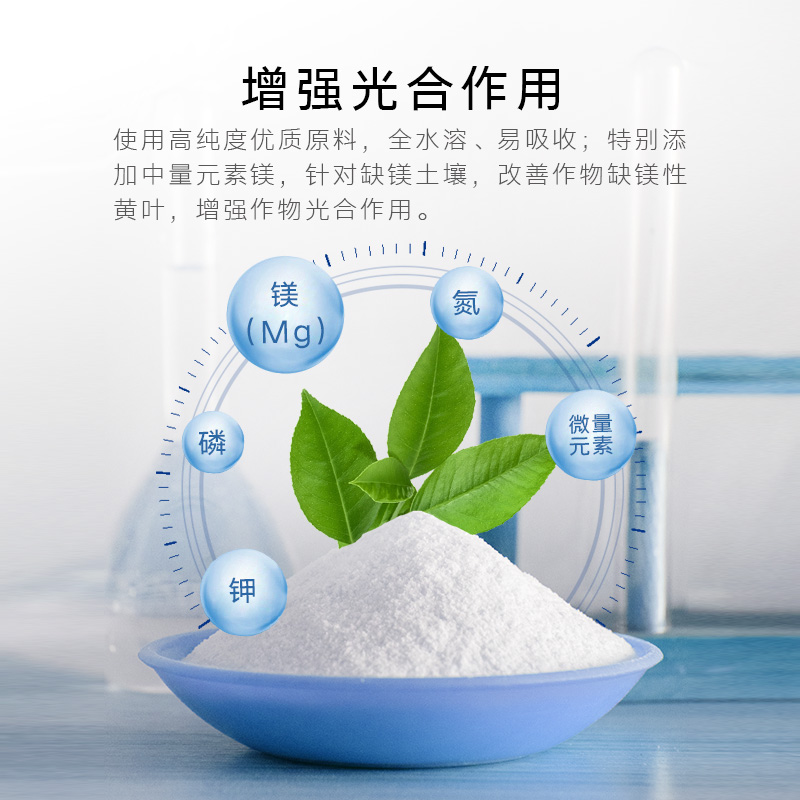 杜高美磷大量元素水溶肥料高磷型氮磷钾肥促花壮花果树通用复合肥 - 图1