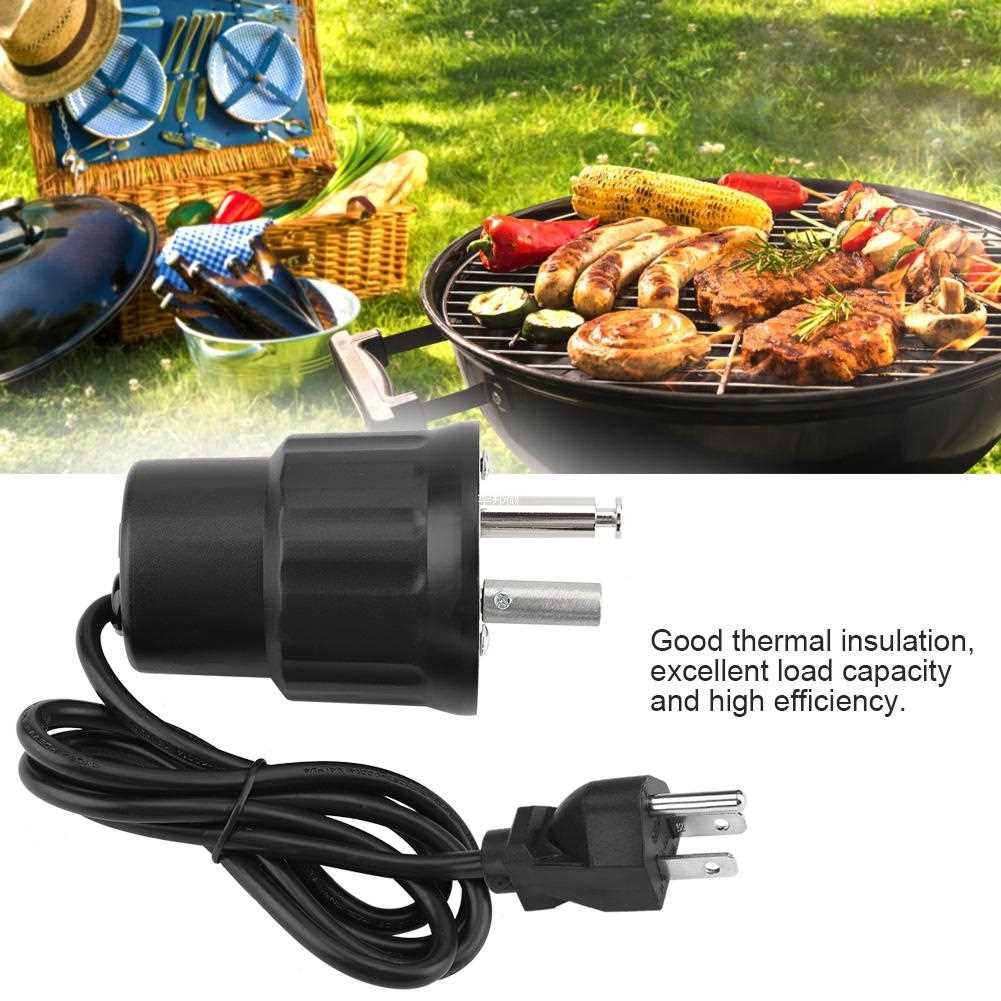 BBQ Roast Rotisserie Grill Motor Rotator Outdoor Barbecue To - 图1