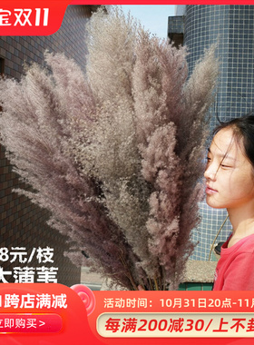 蒲苇芦苇干花婚庆落地