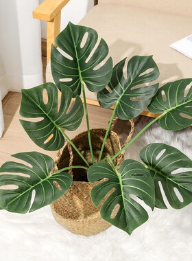 7头手感龟背叶插花植物墙假婚庆
