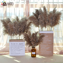 Natural plant dried flower reed flower pureed bouquet Nordic home Café Soft Decorative Pendulum to shoot props