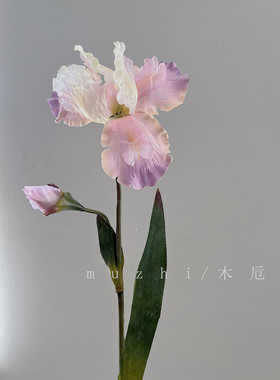 muzhi高颜值鸢尾绢花仿真花