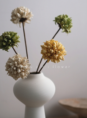 精致玉兰干花真花花束客厅插花