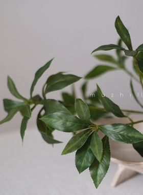 仿真绿植家居高端轻奢马醉木