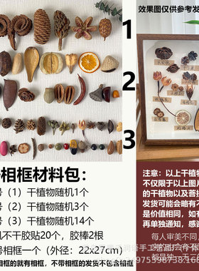 干植物diy手工相框立体干花实木标本复古家居摆件装饰挂画diy