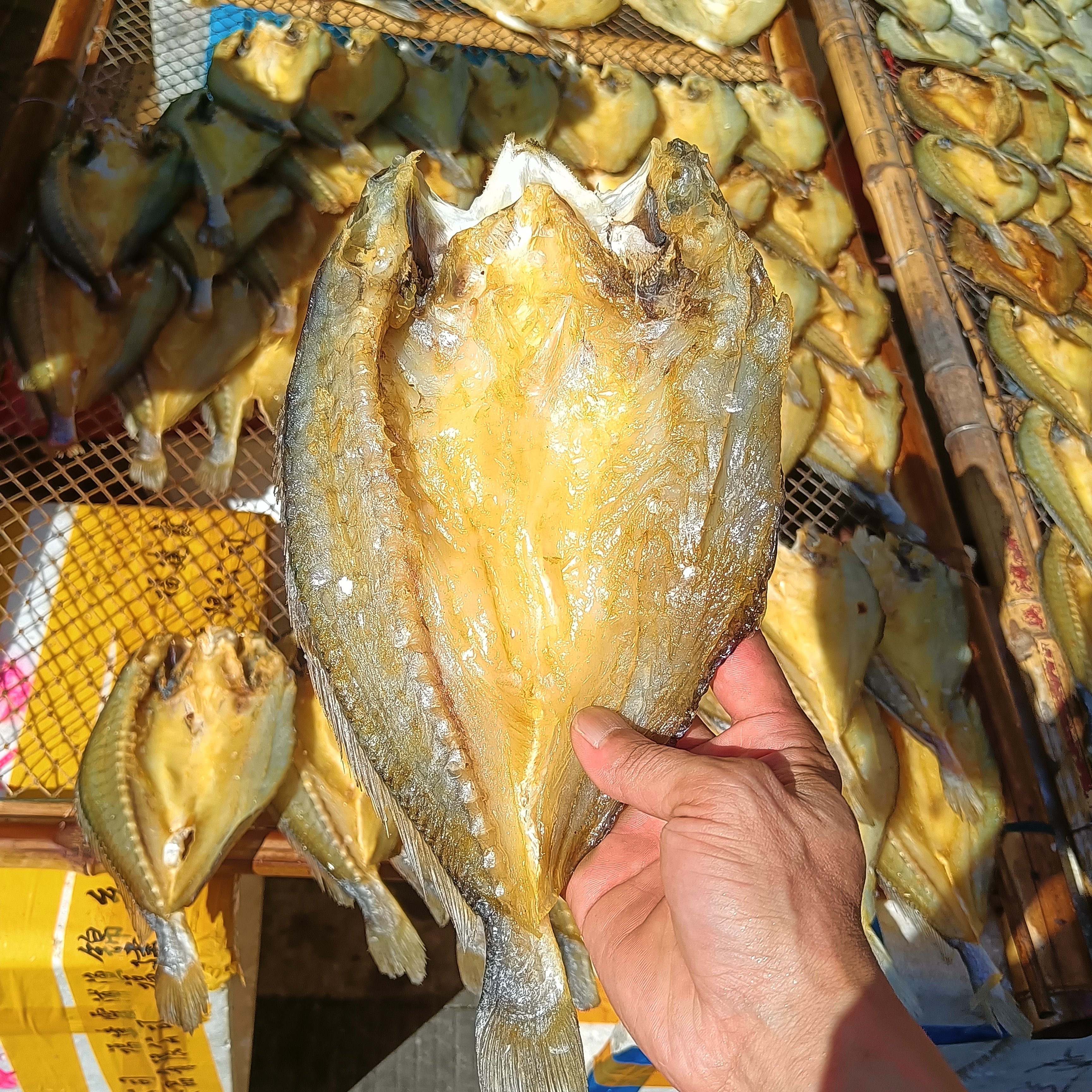 温州特产瑞安东山黄鱼鲞黄花鱼海鱼海鲜干货鱼鲞咸鱼,淘宝优惠券,粉丝福利购,淘宝优惠卷