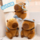 Cute Diver Capibala Sports Capybara Doll Plush Toy Football Backpack Rag Doll Gift