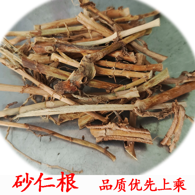 春沙仁根 正宗阳春春砂仁干根 煲汤 中药材 干货 砂仁茎 泡水煮茶 - 图1