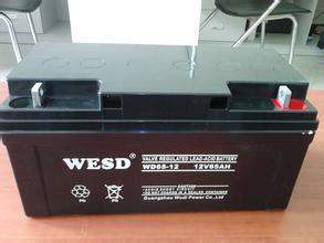 WESD无敌蓄电池WD17-12胶体12V7AH12A20A24A38A40A65A100A消防UPS - 图1