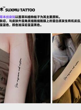穿越逆境,抵达繁星草本纹身贴