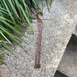 Пластиковый прозрачный цветочный горшок, орхидея, хорошо впитывает воду