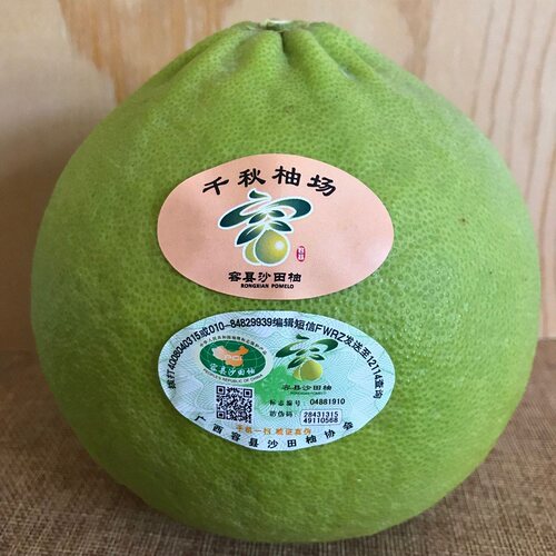 【顺丰】正宗容县沙田柚子广西新鲜孕妇水果沙田柚子12斤品质大果 - 图1