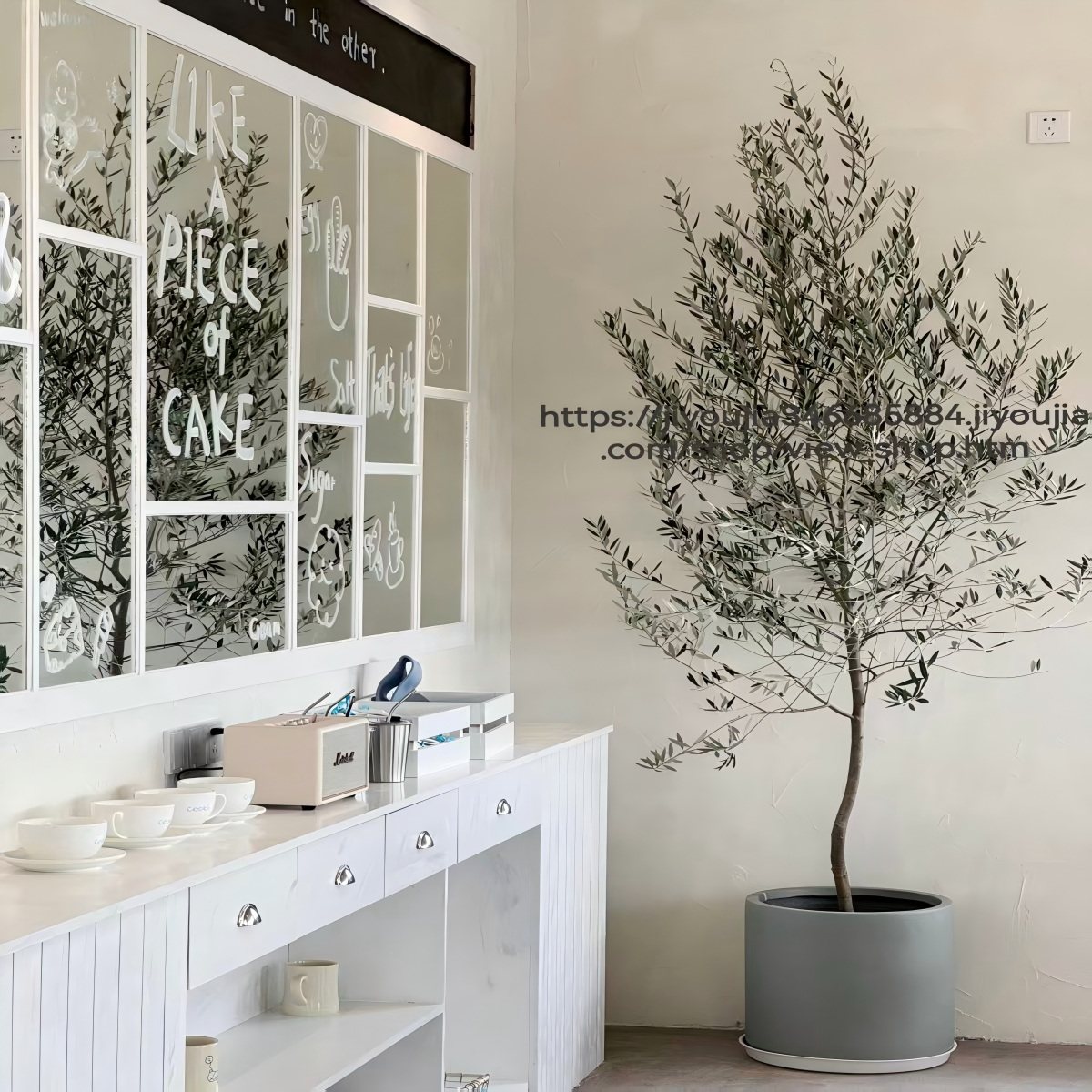 油橄榄树大型盆栽室内客厅绿植好养活办公室花卉盆景乔迁开业植物,淘宝优惠券,粉丝福利购,淘宝优惠卷