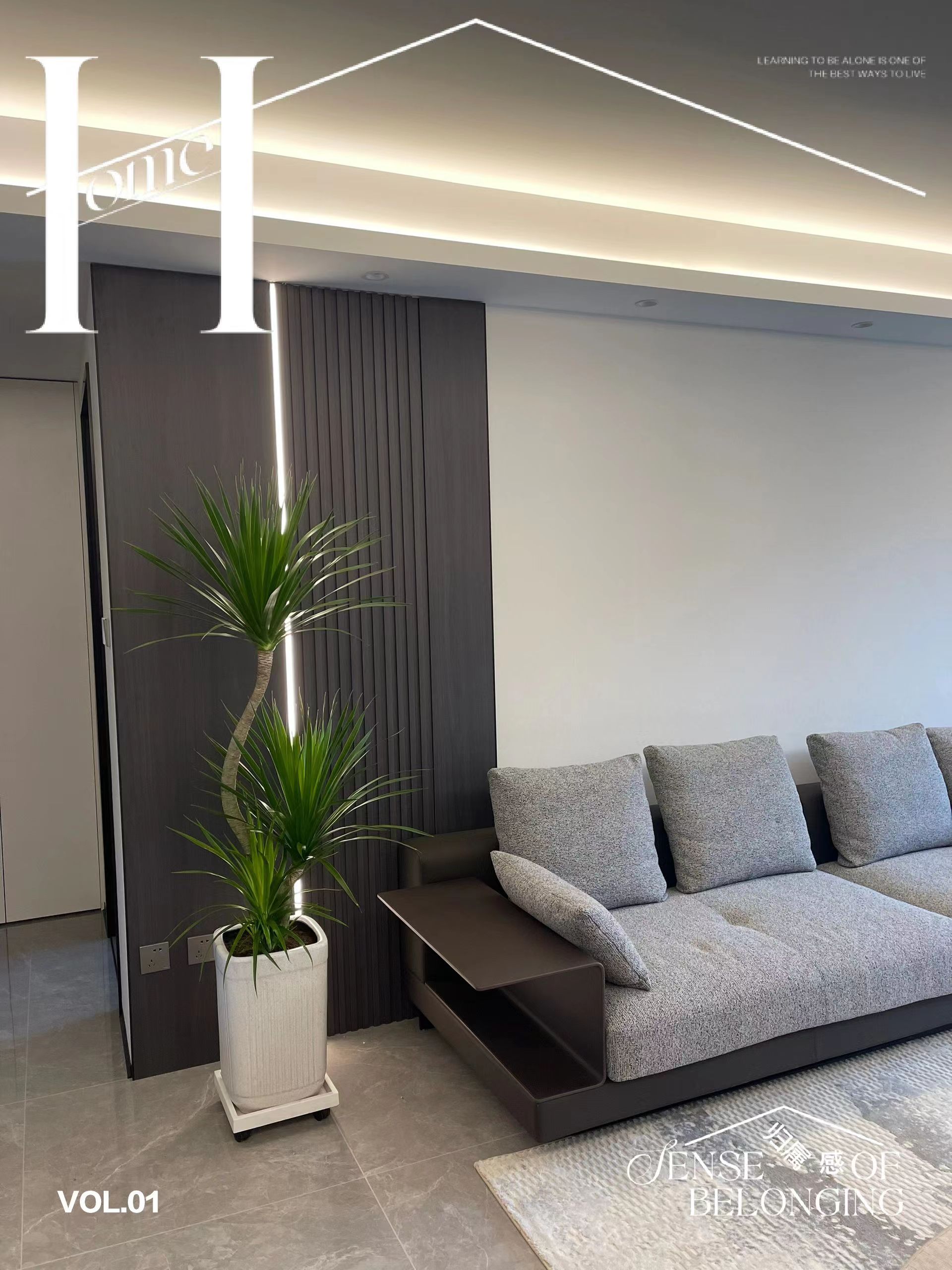 龙血树客厅绿植室内盆栽大型办公室植物龙须树好养净化空气除甲醛,淘宝优惠券,粉丝福利购,淘宝优惠卷