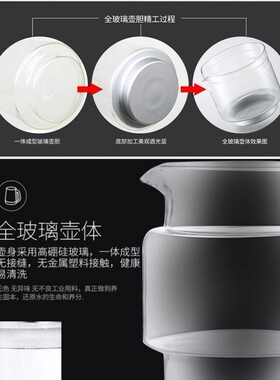 养生壶加厚熬煎药煲花茶桦树茸